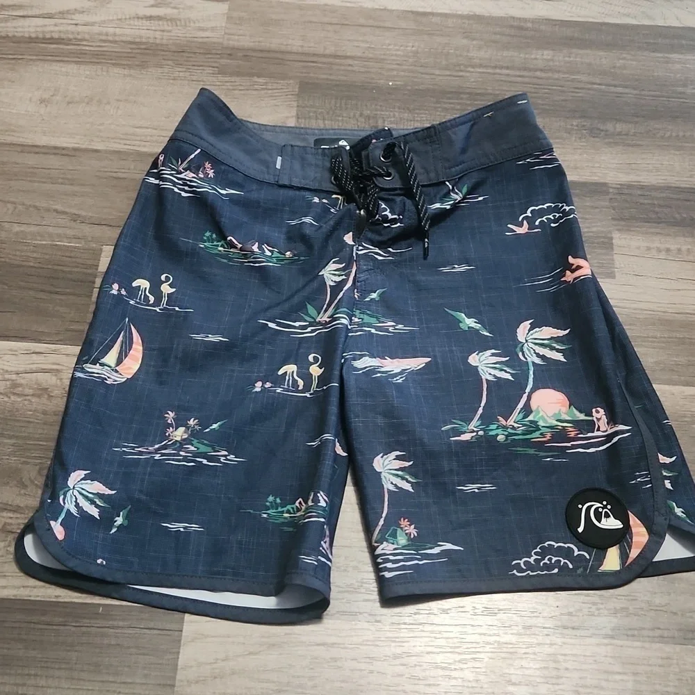 Quiksilver Surfsilk Mystic Sessions 19” Boardshorts Sixe 25' /10
